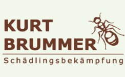 Logo von Brummer Kurt