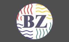 Logo von BZ Haustechnik GmbH