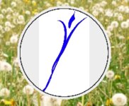 Logo von Ergotherapie Peißenberg Detlev Grzenia