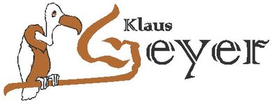 Logo von Holzsanierung Klaus Geyer