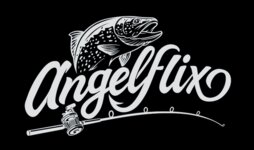 Logo von angelflix GmbH