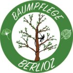 Logo von Berlioz Fabien