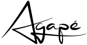 Logo von Schütz Patrice