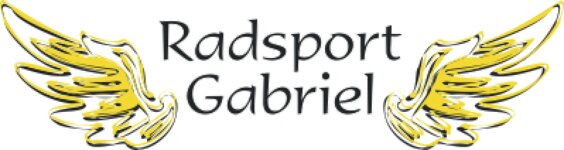 Logo von Gabriel Michael