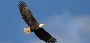 Logo von Praxis Katharina Brückner HP und Medium