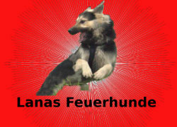 Logo von Lanas Feuerhunde