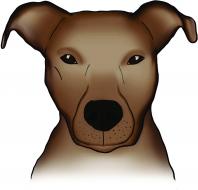 Logo von Ostfriesen Security