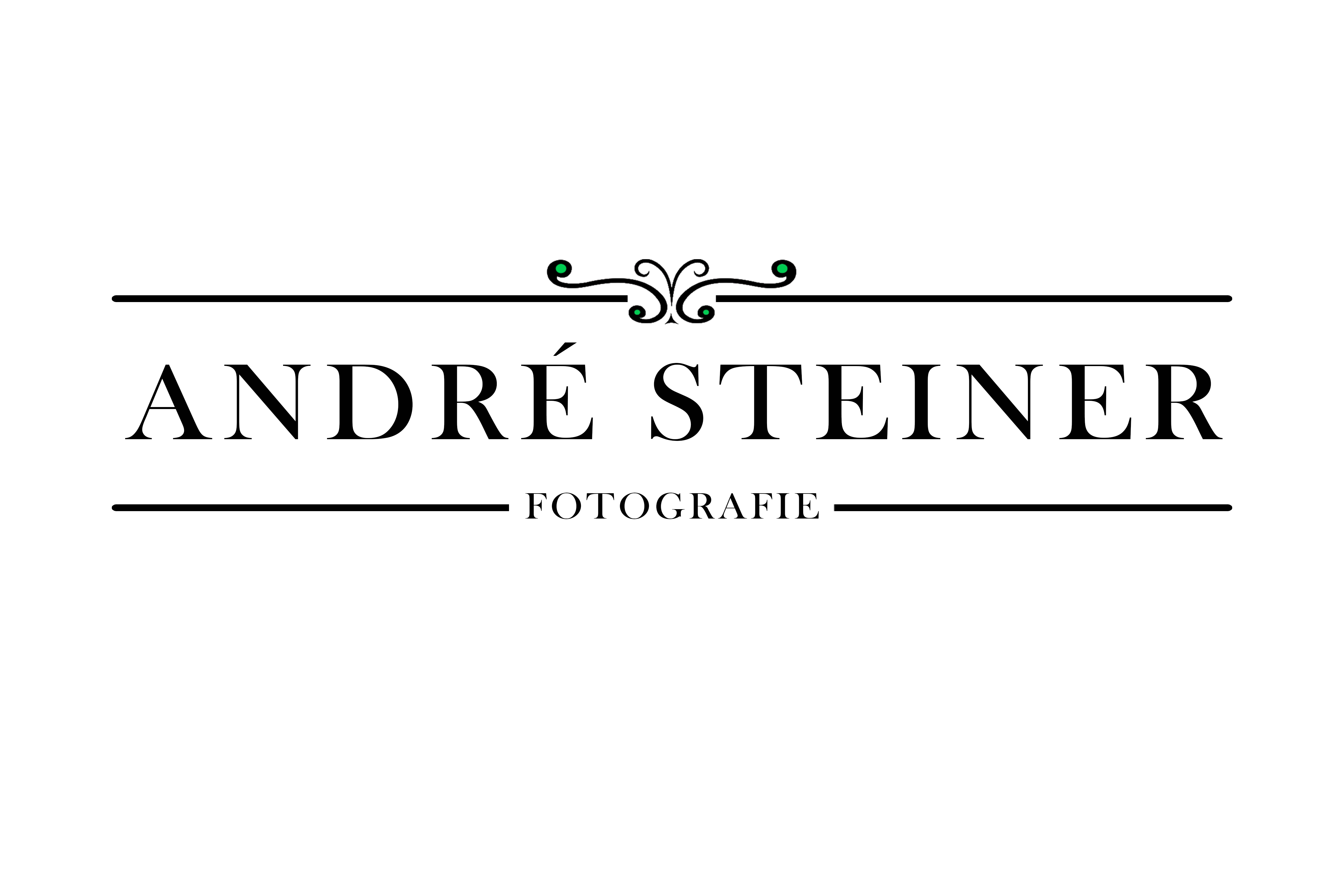 Logo von Steiner André Fotografie