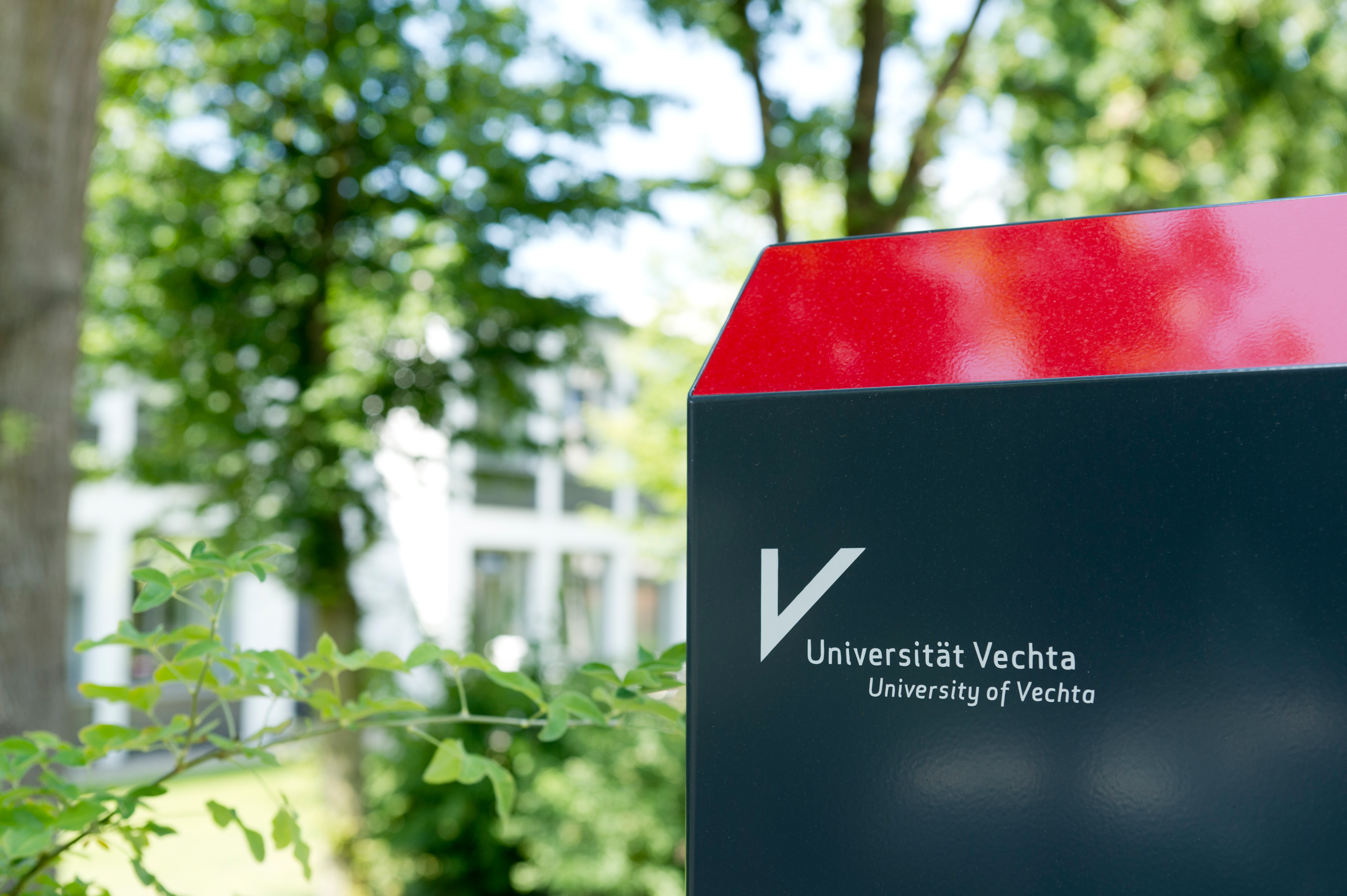 Logo von Wissenschaftliche Weiterbildung der Universität Vechta