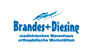 Logo von Brandes & Diesing