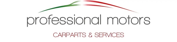 Logo von Professional Motors