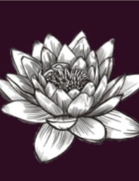 Logo von Naturheilpraxis Anja Feldmann