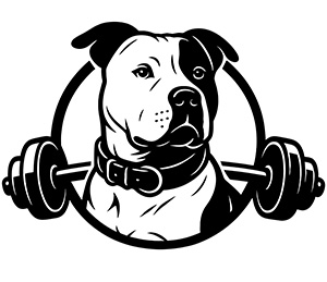 Logo von JAWX UG (haftungsbeschränkt)