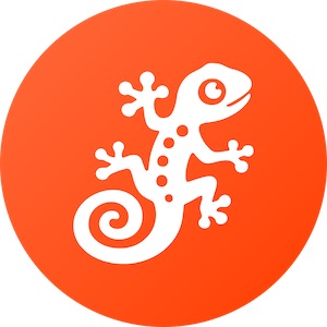 Logo von Gekkos Webdesign Osnabrück