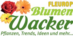 Logo von Blumen Wacker
