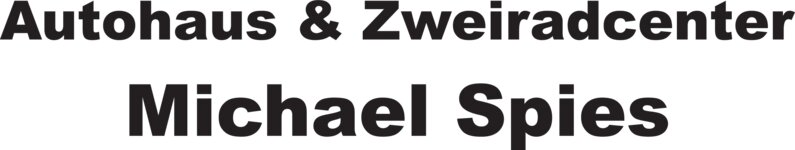 Logo von Spies Michael