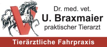 Logo von Braxmaier Ulrich Dr.