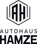 Logo von Hamze Hassan