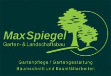 Logo von Spiegel Max