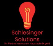Logo von Schlesinger Alexander