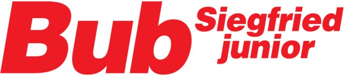 Logo von Bub Siegfried jun. Erdbau - Transporte - Abbruch