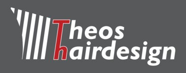 Logo von Koni Theo