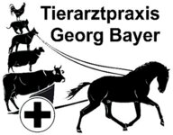 Logo von Bayer Georg
