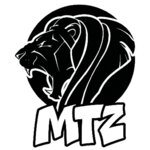 Logo von MTZ Montagetechnik Zink GmbH