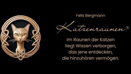 Logo von Bergmann Felis