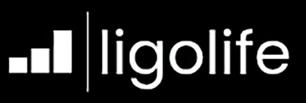 Logo von Spalek Martin