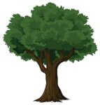 Logo von Bäume und Sträucher Martin Mottier