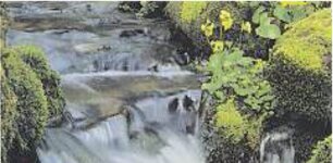 Logo von Pietät Glaser Inh. Volker Glaser