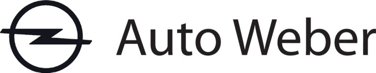 Logo von Auto Weber