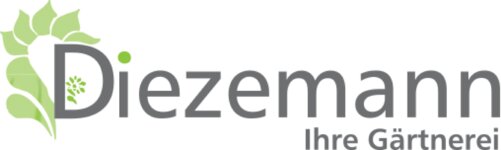 Logo von Blumen - Diezemann