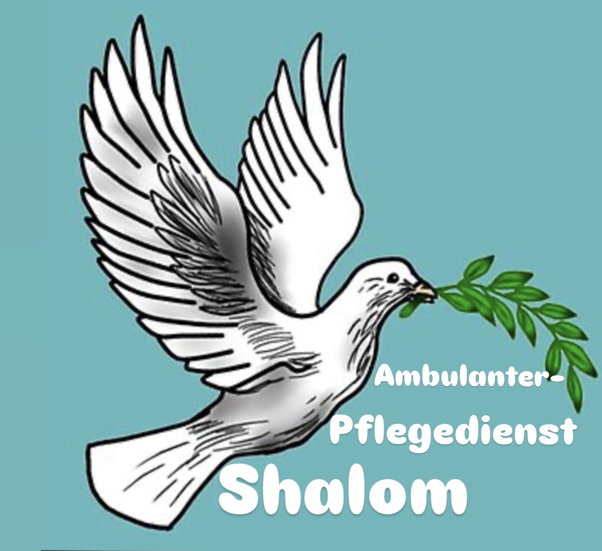 Logo von AmbulanterPflegedienst Shalom Kamyar Irandoust