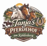 Logo von Energiekostenberatung Tanja Aumüller