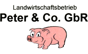 Logo von PETER & Co. GbR Landwirtschaftsbetrieb