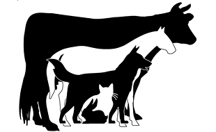 Logo von Tierarztpraxis DVM Karsten Beierlein Klein u. Großtiere