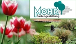 Logo von Mohr GmbH Gartengestaltung