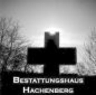 Logo von Hachenberg Erich