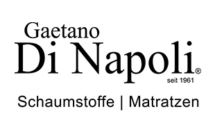 Logo von DI NAPOLI