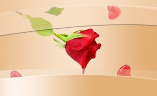 Logo von KOSMETIK-PRAXIS & DAY SPA D. RÖHRIG