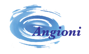 Logo von Angioni GmbH