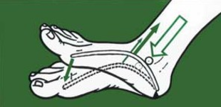 Logo von Zander Birgit Podologie-Engelskirchen