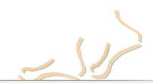 Logo von Lörsch Zaklina 