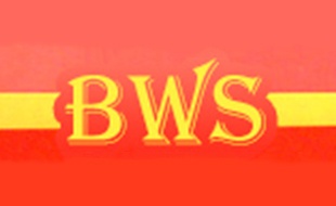 Logo von BWS Transport GmbH Containerdienst