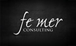 Logo von fe mer Consulting