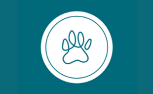 Logo von Flokani GmbH Heimtierbedarf