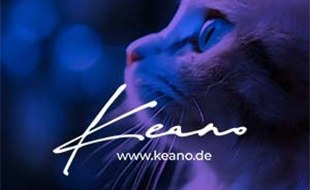 Logo von KEANO | Web & Brand Agency