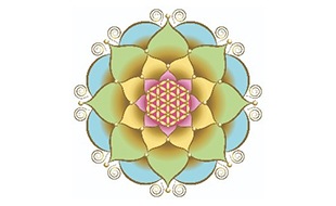 Logo von AnyArtDesign